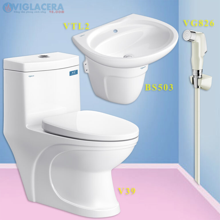 Thiết bị vệ sinh Viglacera chính hãng tại HCM