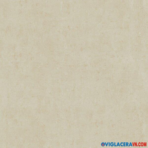 Gạch lát nền Viglacera BS6602 (60x60cm)
