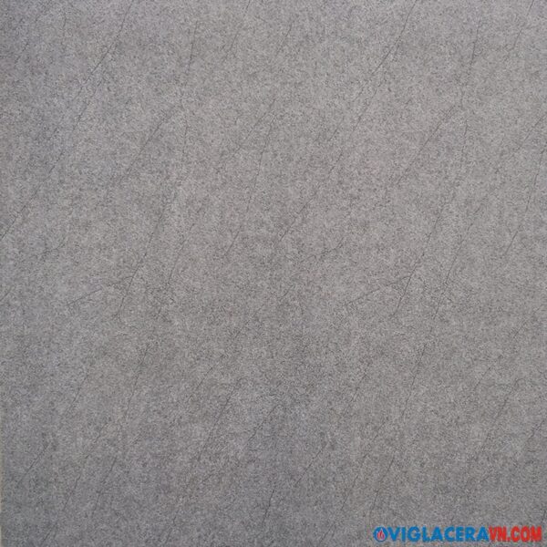 Gạch lát nền Viglacera BS6606 (60x60cm)