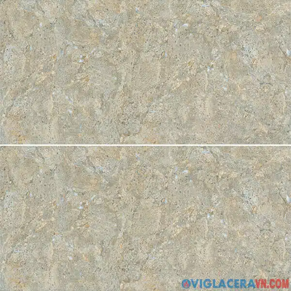 Gạch ốp tường Viglacera BS3602 (30x60cm)