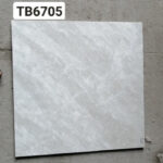 Gạch đá ốp lát Viglacera TB6705