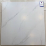 Gạch đá ốp lát Viglacera VG6001