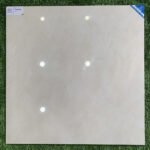 Gạch đá ốp lát Viglacera TB8703