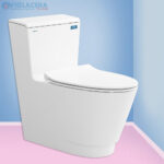 Trọn bộ bồn cầu, bệt vệ sinh két liền 1 khối Viglacera P.11.500 chính hãng giá rẻ tại Viglaceravn.com