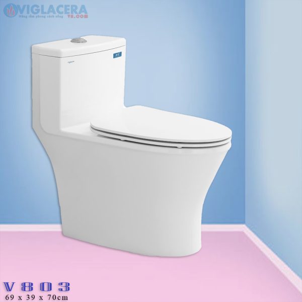 Bồn cầu, bệt vệ sinh két liền 1 khối Viglacera V803 chính hãng giá rẻ, xả xoáy, men Nano kháng khuẩn