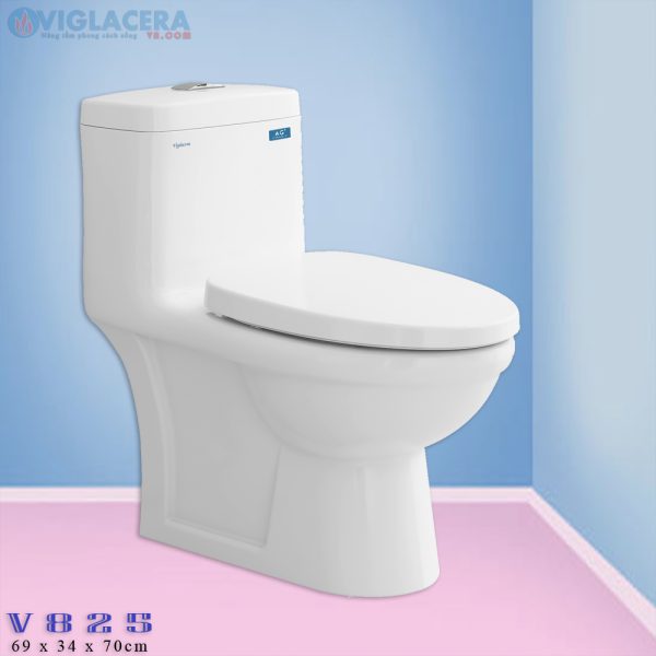 Bồn cầu, bệt vệ sinh két liền 1 khối Viglacera V825 chính hãng giá rẻ, xả xoáy, men Nano kháng khuẩn