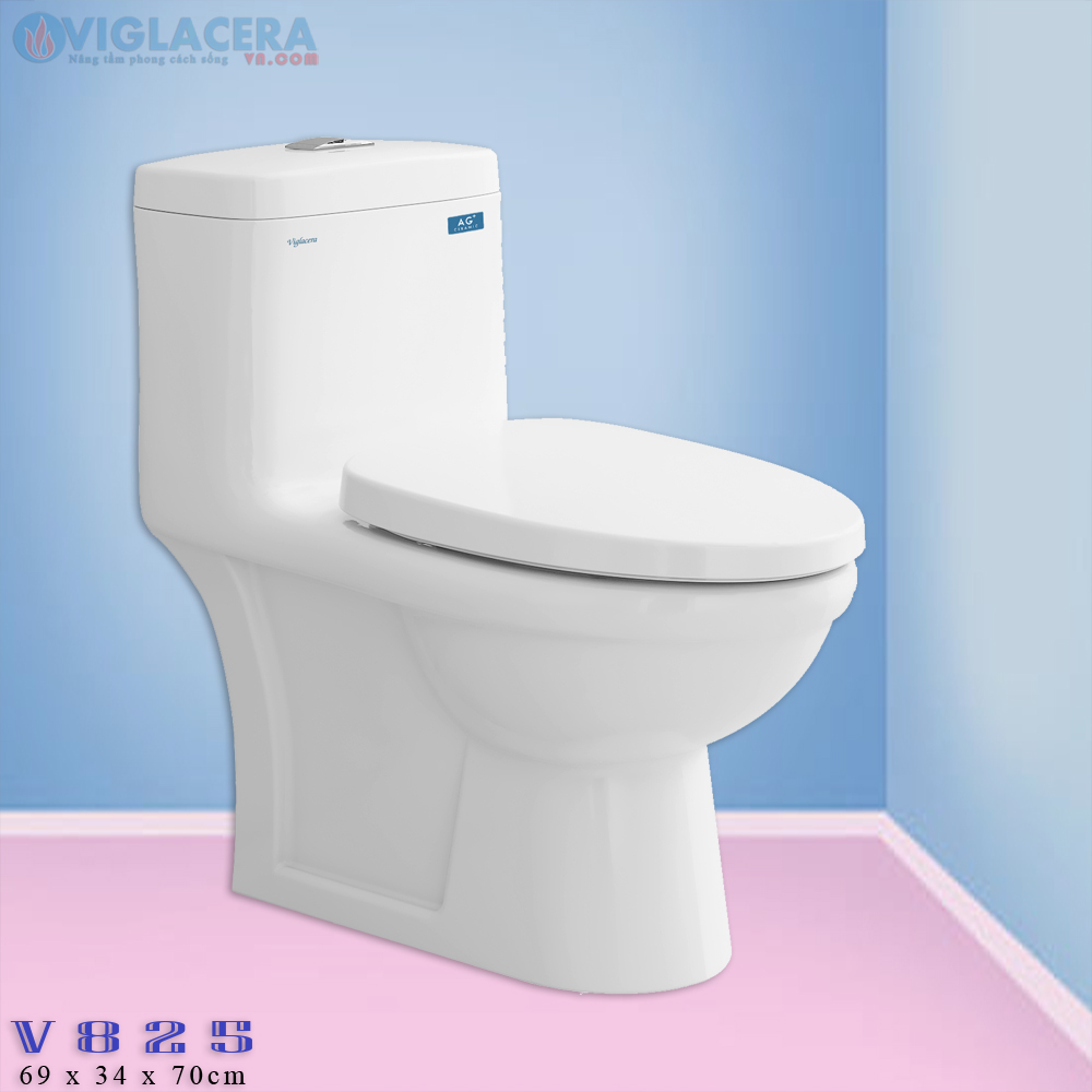 Bồn cầu, bệt vệ sinh két liền 1 khối Viglacera V825 chính hãng giá rẻ, xả xoáy, men Nano kháng khuẩn