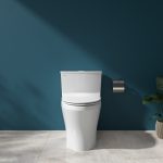 Bồn cầu, bệt vệ sinh két liền 1 khối Viglacera HL2