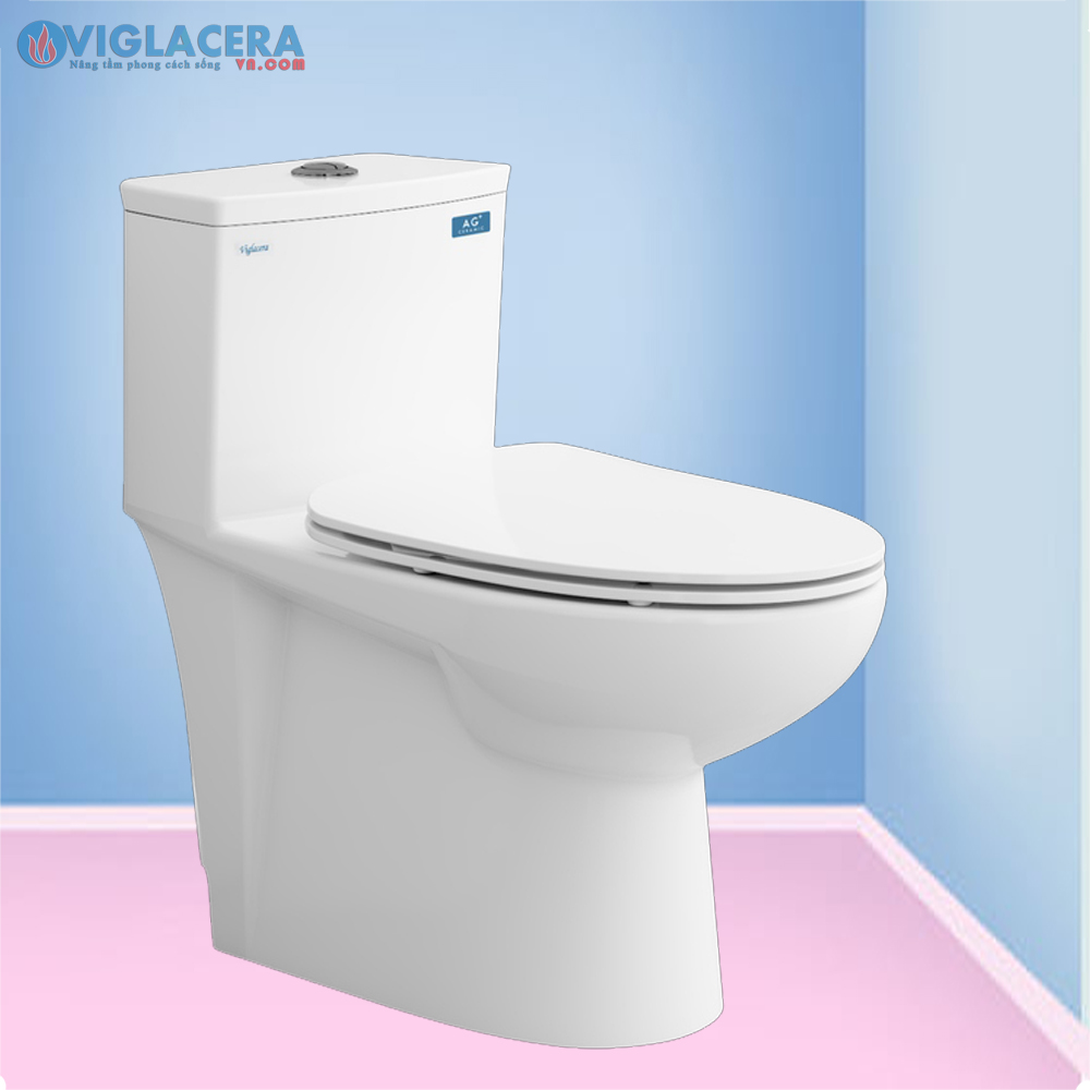 bon cau bet ve sinh ket lien 1 khoi viglacera V819