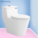 bon cau bet ve sinh ket lien 1 khoi viglacera V823