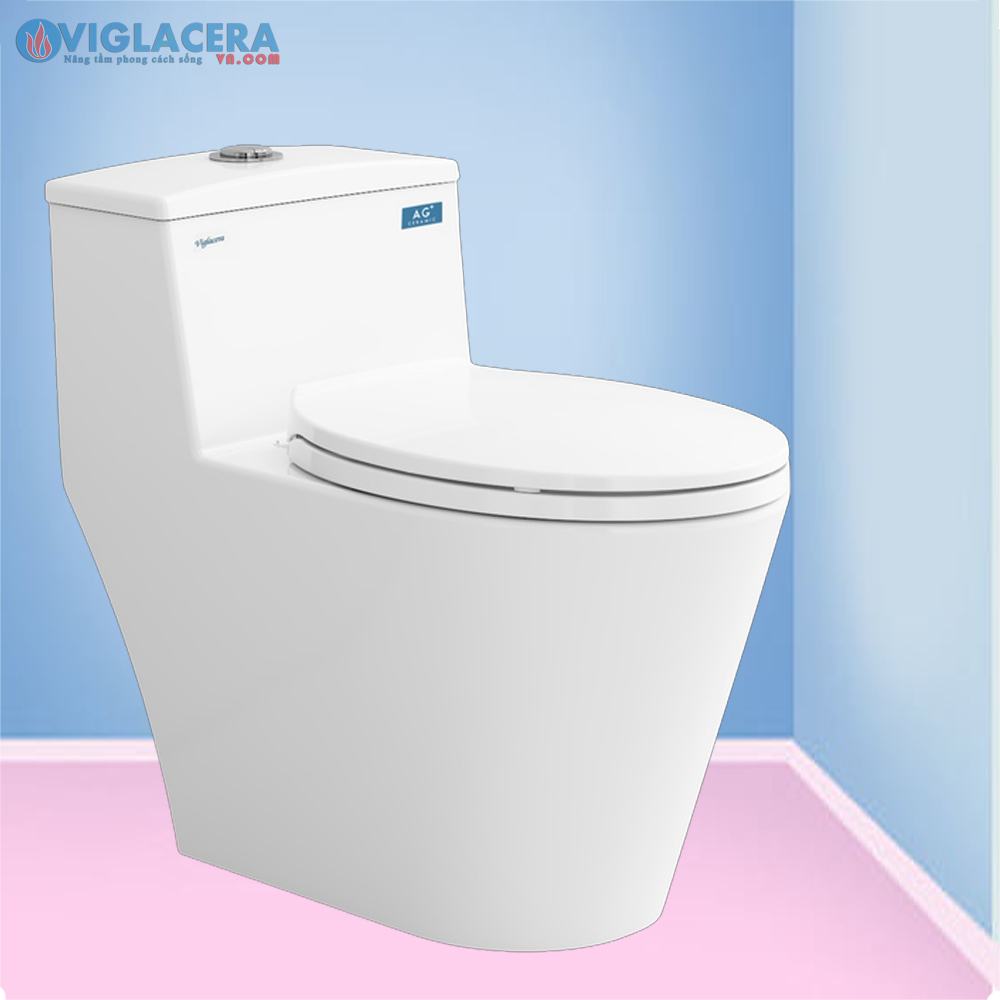 bon cau bet ve sinh ket lien 1 khoi viglacera V823