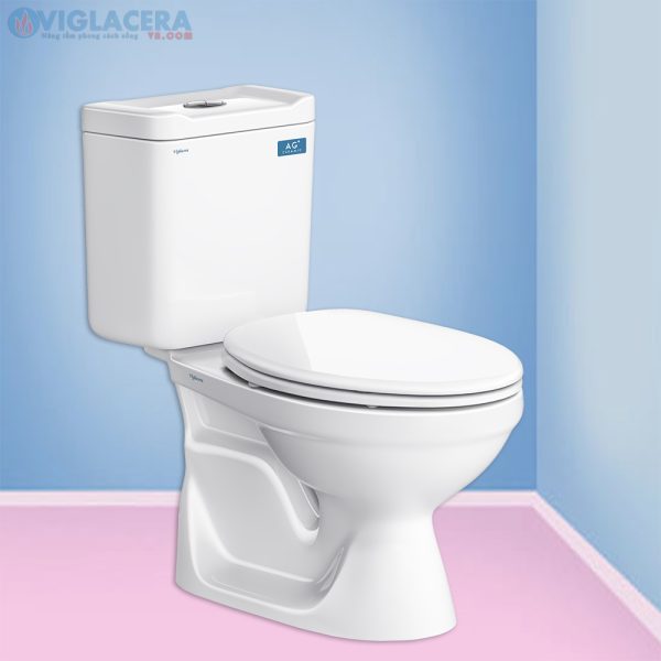 Bồn cầu, bệt vệ sinh két rời 2 khối Viglacera VT18M nắp V1102 chính hãng giá rẻ, xả xoáy, men Nano kháng khuẩn tặng lavabo VTL2