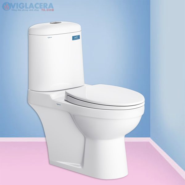 Bồn cầu, bệt vệ sinh két rời 2 khối Viglacera Vi107 nắp đóng êm V116 chính hãng giá rẻ, xả xoáy, men Nano kháng khuẩn tặng lavabo VTL2