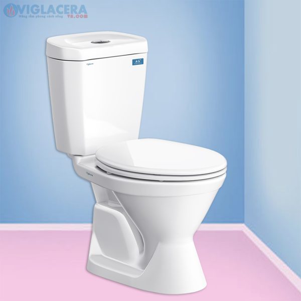 Bồn cầu, bệt vệ sinh két rời 2 khối Viglacera Vi66 nắp V1102 chính hãng giá rẻ, xả xoáy, men Nano kháng khuẩn tặng lavabo VTL2