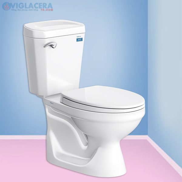 Bồn cầu, bệt vệ sinh két rời 2 khối Viglacera Vi77 nắp đóng êm V116 chính hãng giá rẻ, xả xoáy, men Nano kháng khuẩn tặng lavabo VTL2