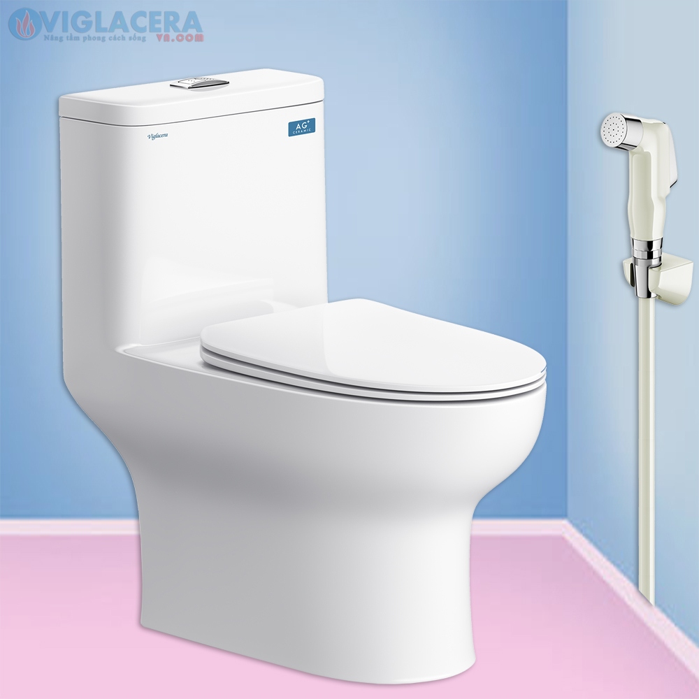 bon cau lien 1 khoi Viglacera V64